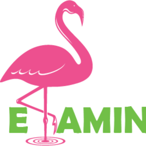 Elamingo Store