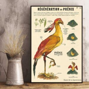 THE PHOENIX Myth Animals Poster
